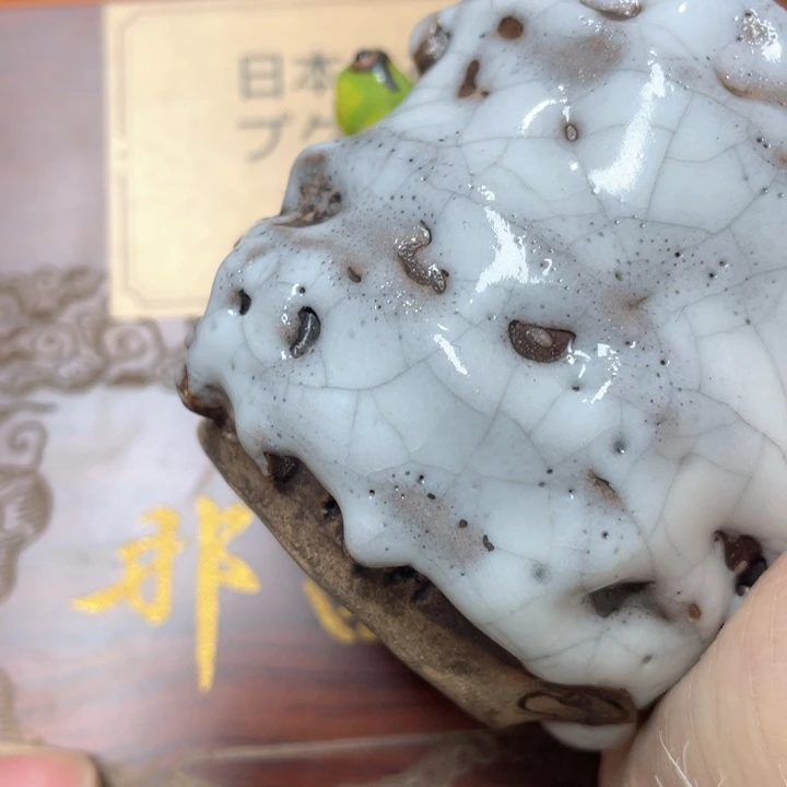 我也是很喜欢这个节目的我真的