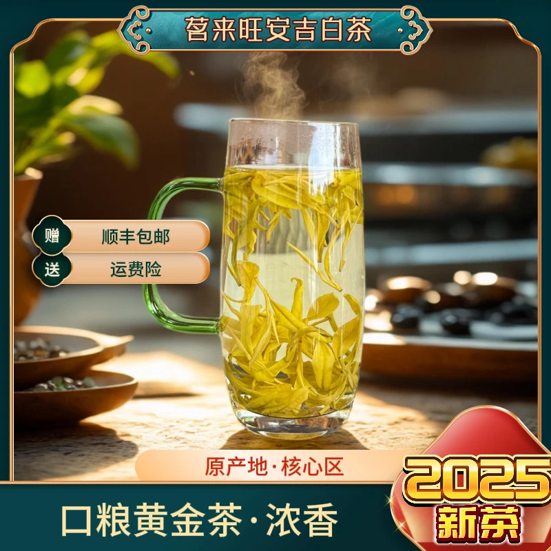 「豆香黄金茶」2025年黄金叶春茶高山原产地栗香浓香耐泡款黄金芽