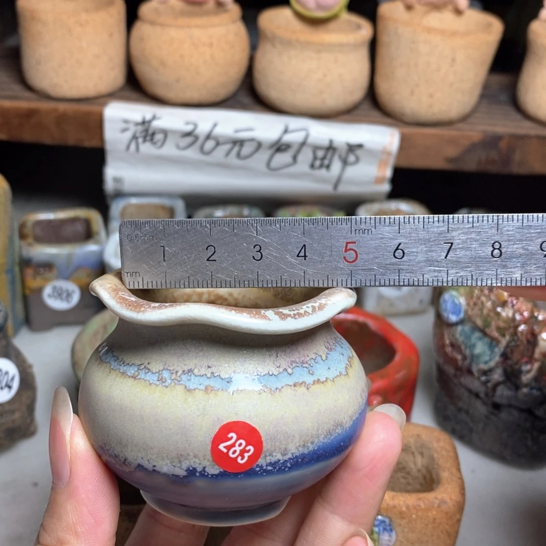 拍5送一个小礼物