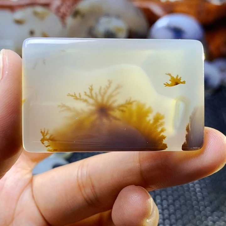 玛瑙/玉髓未镶嵌珠宝半成品