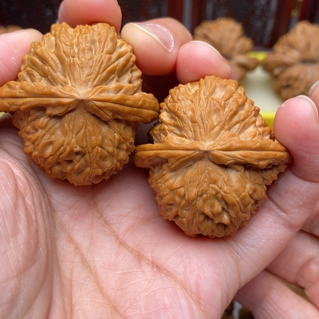 文玩核桃把件全品毕业绝配白狮子41尺