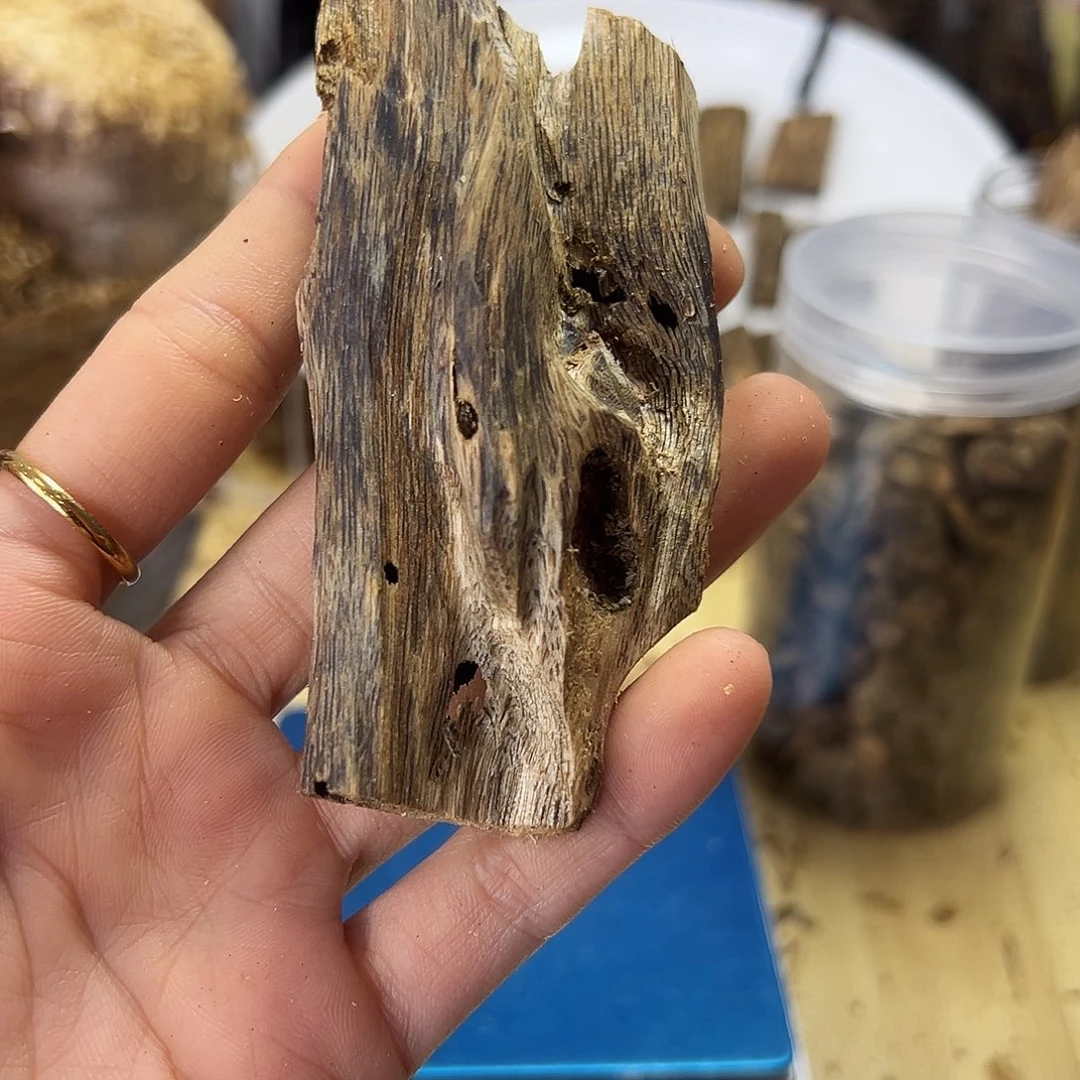 木绿奇楠虫漏原材料17克