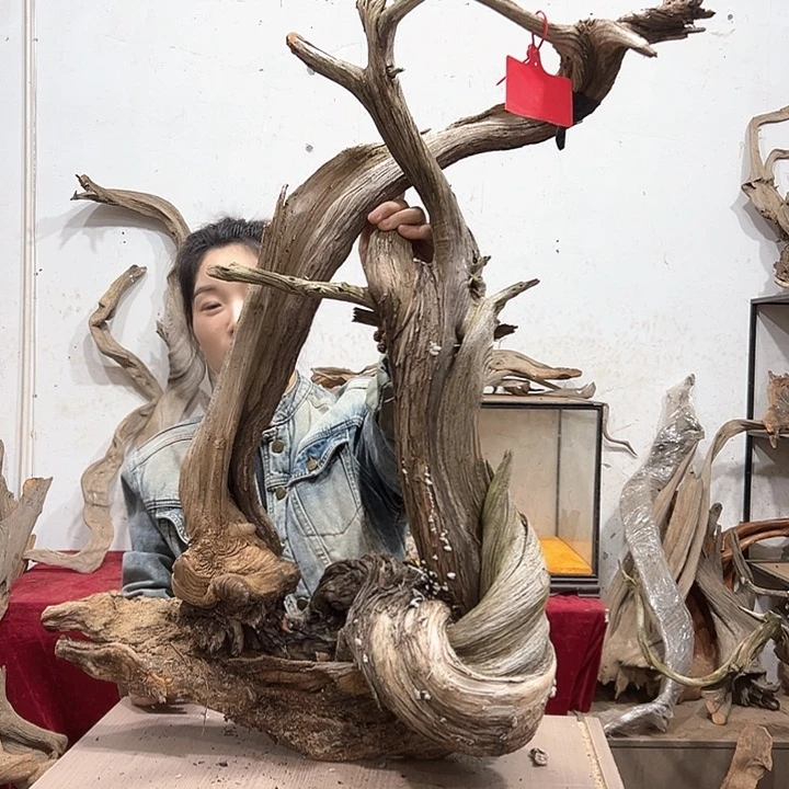 柏木伟****品我们都是好孩子