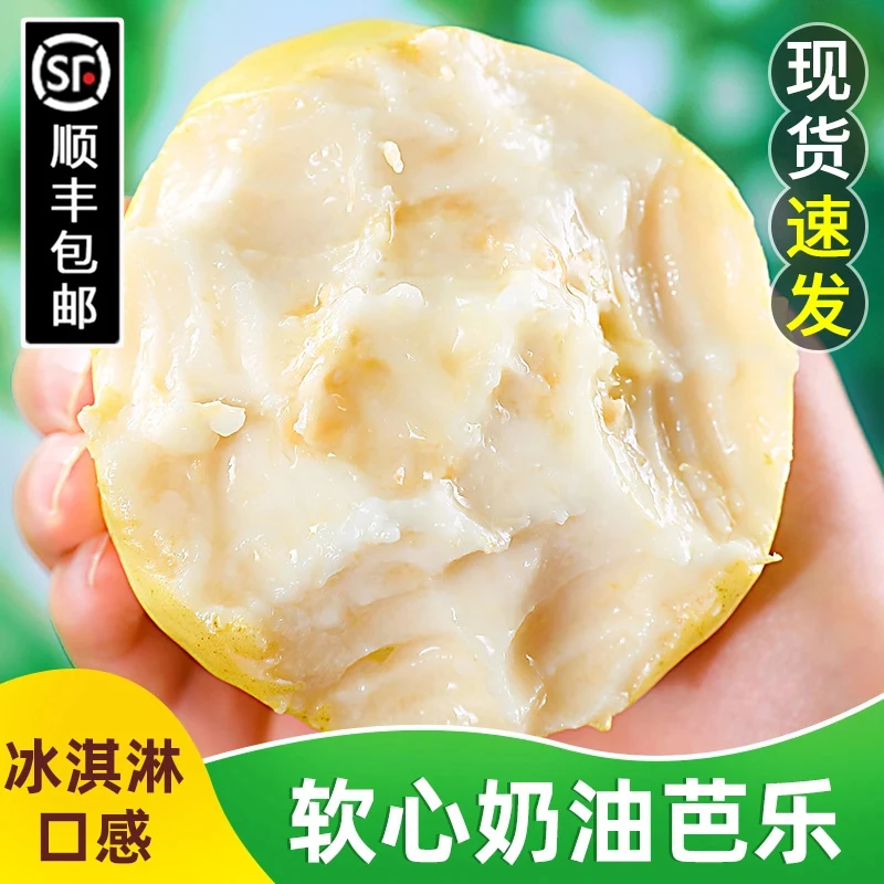 【顺丰包邮】广西白心芭乐软糯软心奶油孕妇水果新鲜番石榴硬脆甜