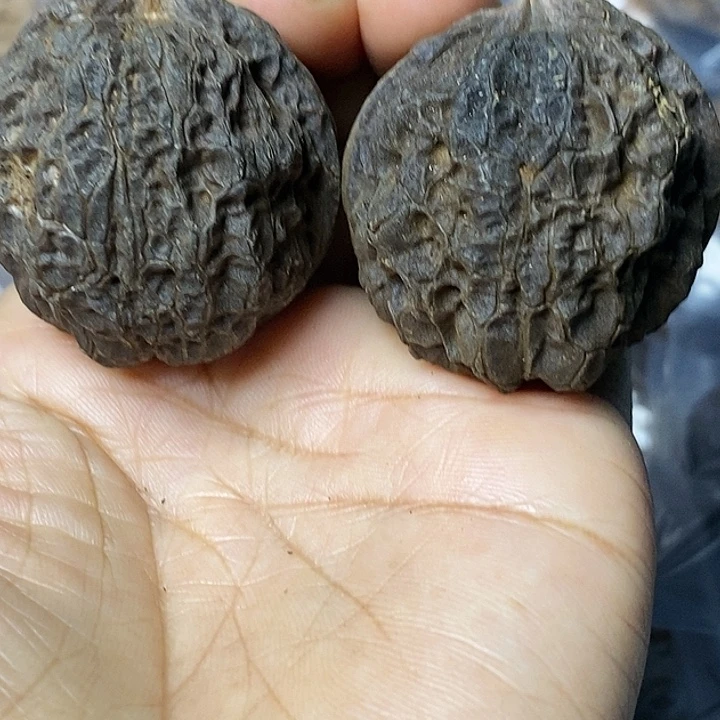 把件文玩核桃云南铁核桃10