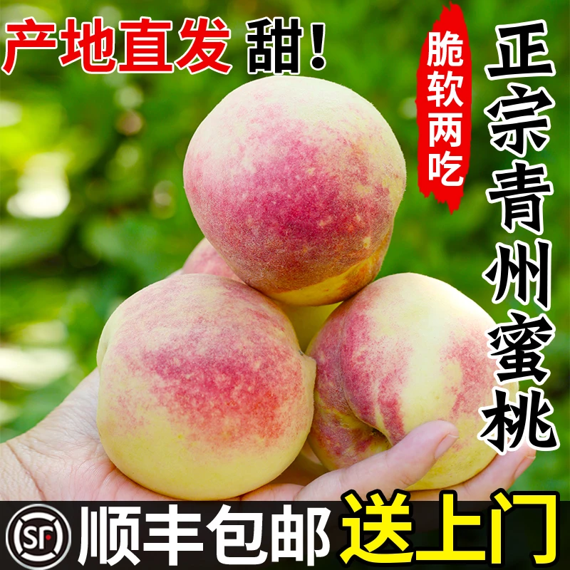 【顺丰送货上门】正宗青州蜜桃毛桃桃子新鲜水果现摘现发正宗脆甜