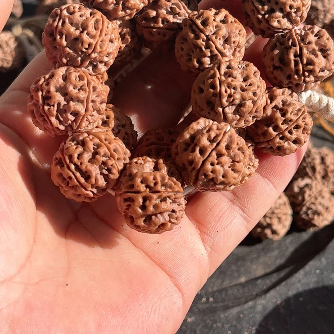 金刚菩提手串21五星双龙