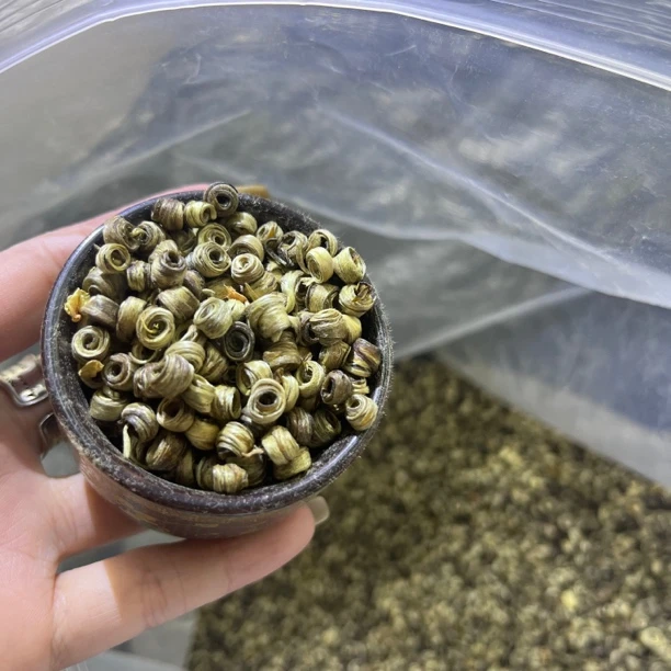 茉莉女儿环（双环小环）2024年新茶 天花板十窨浓香耐泡