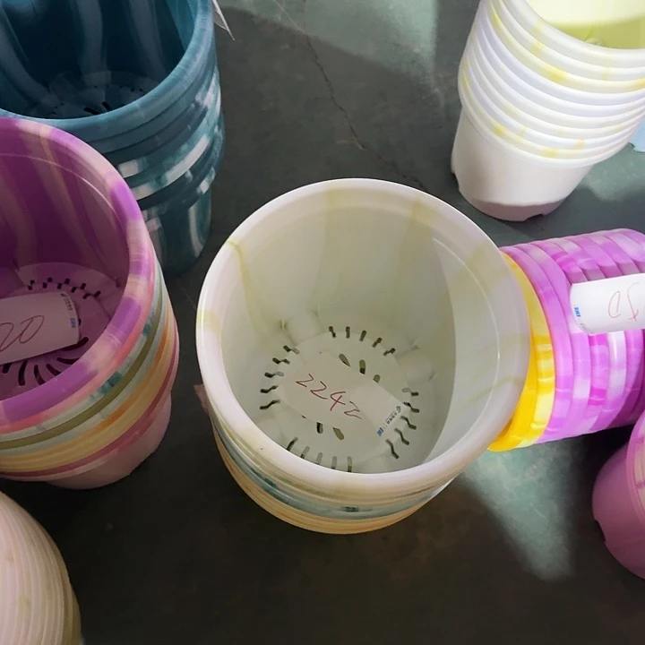 编号2242编号2242