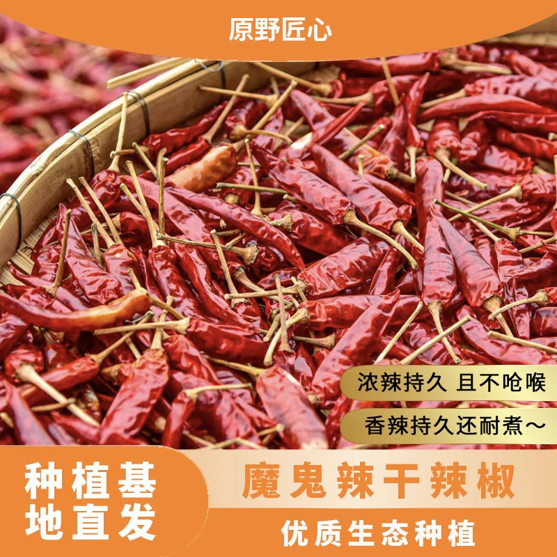 当季新鲜精品辣椒特辣自然晒干特辣香辣多种口味干辣椒农家红辣椒