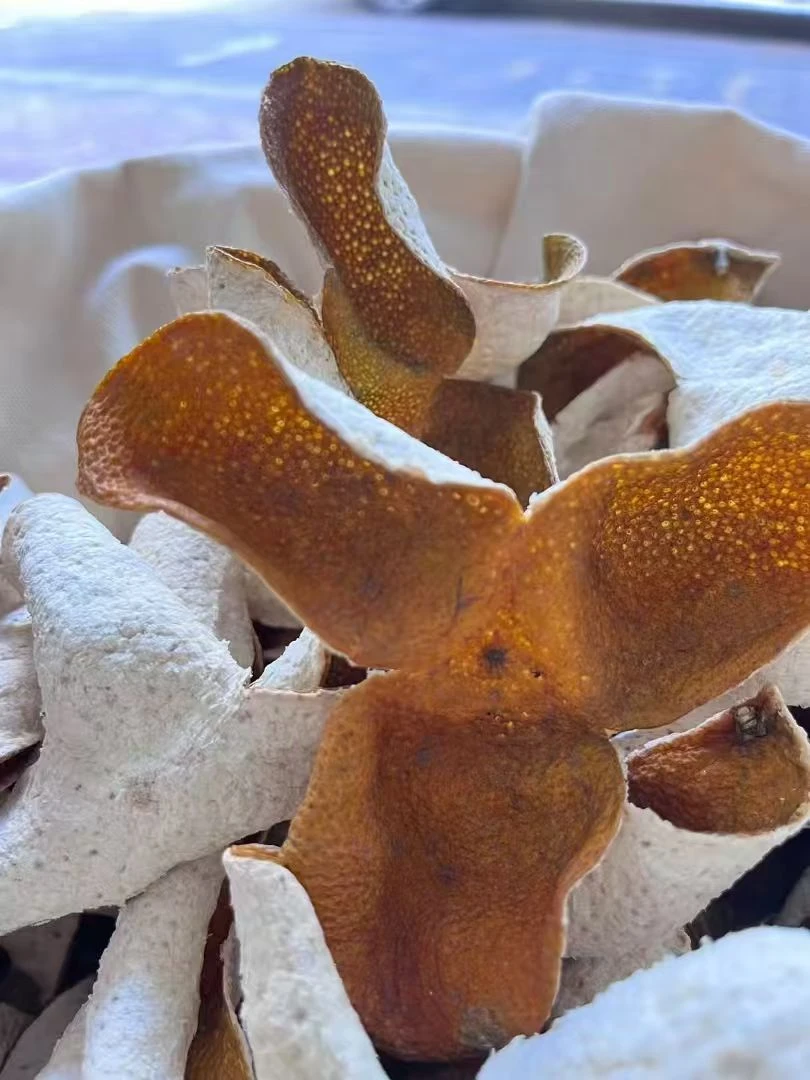 【新会东甲大红】广东新会东甲圈枝大红皮天然生晒2025年新皮