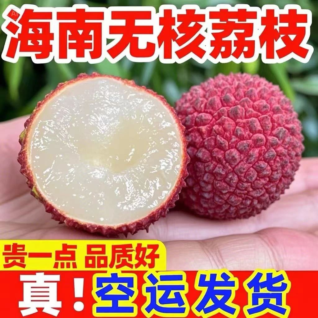t【顺丰明日达】火山夏日限定海南无核三倍体荔枝1-4斤