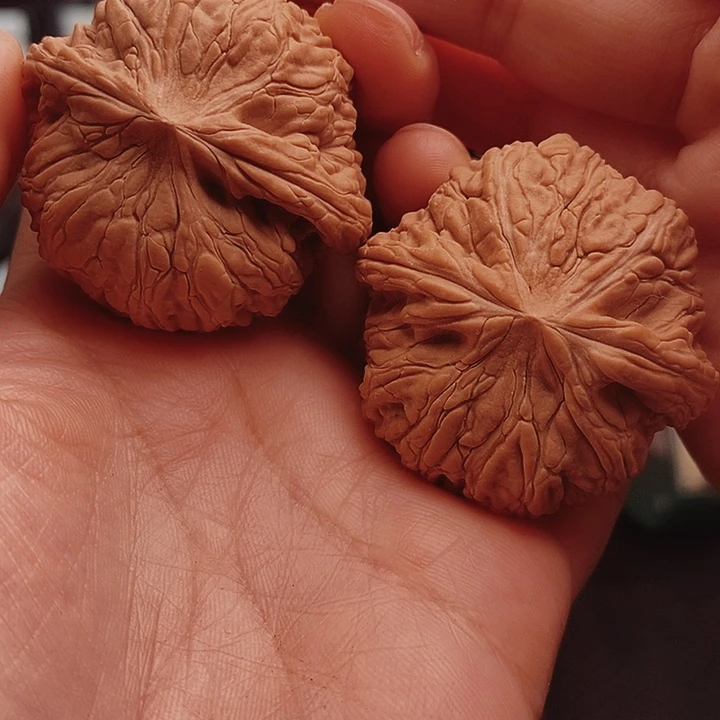 核桃44尺泥鳅背核桃