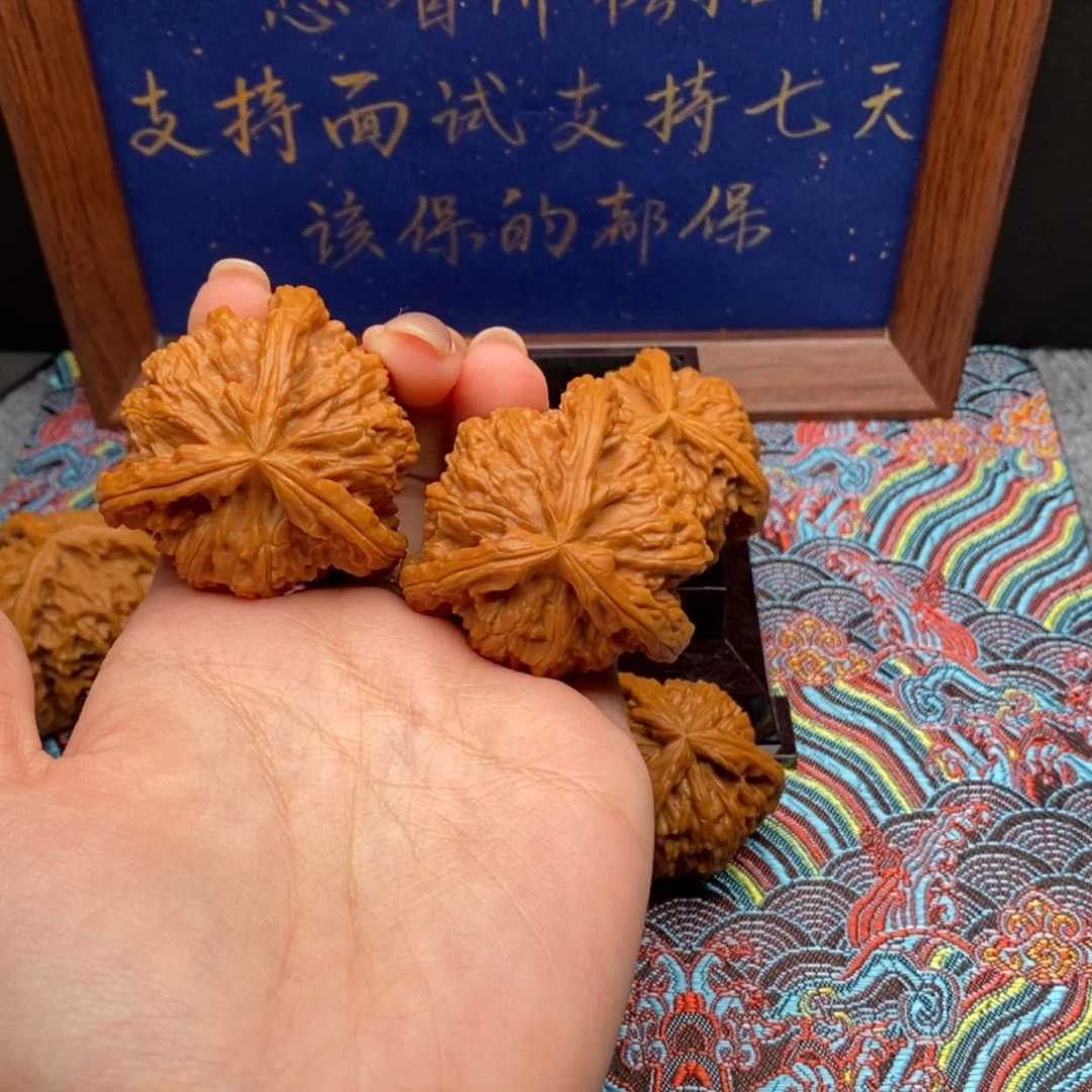 【闪购商品】Z****U白狮