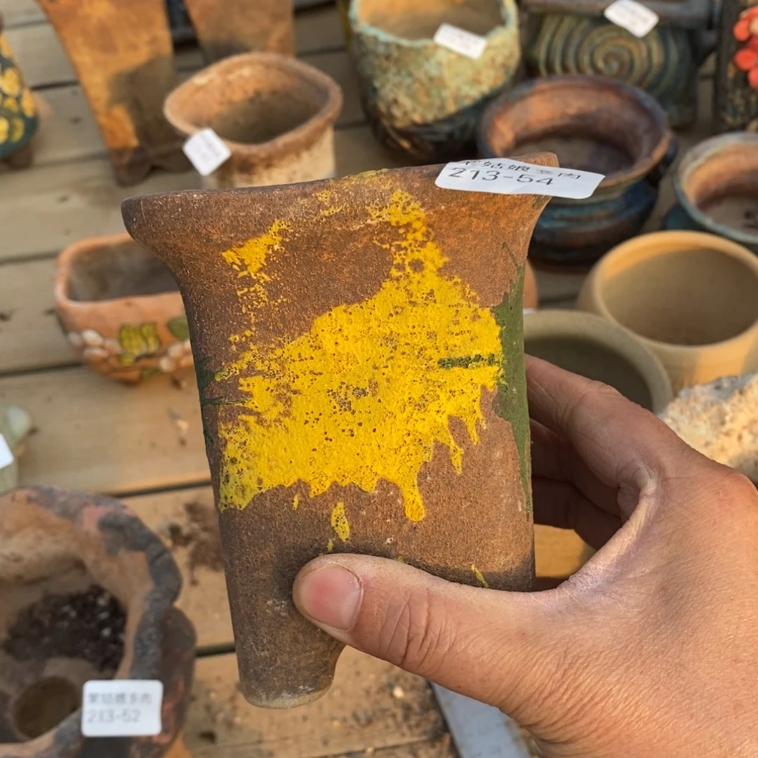 红陶54号多肉盆一个呀