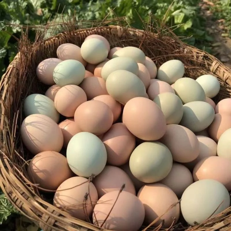 30枚散养新鲜土鸡蛋农家虫草蛋粉壳笨鸡蛋整箱