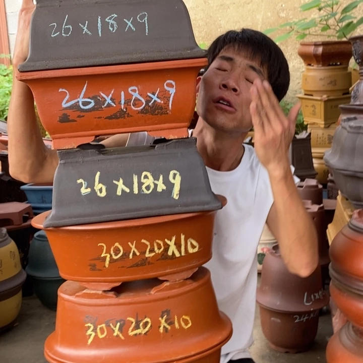 紫砂花盆紫砂紫砂紫砂紫砂