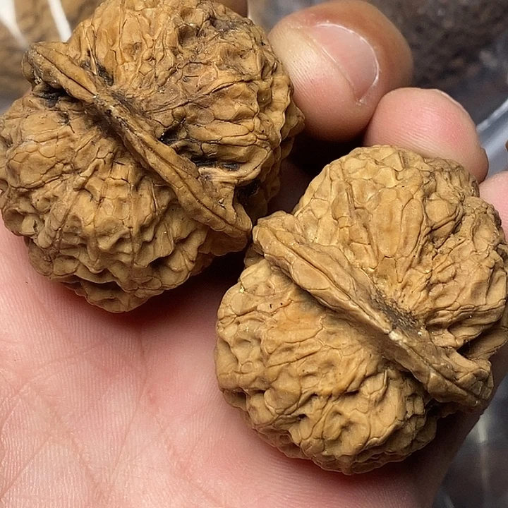 文玩核桃把件云南铁核桃4