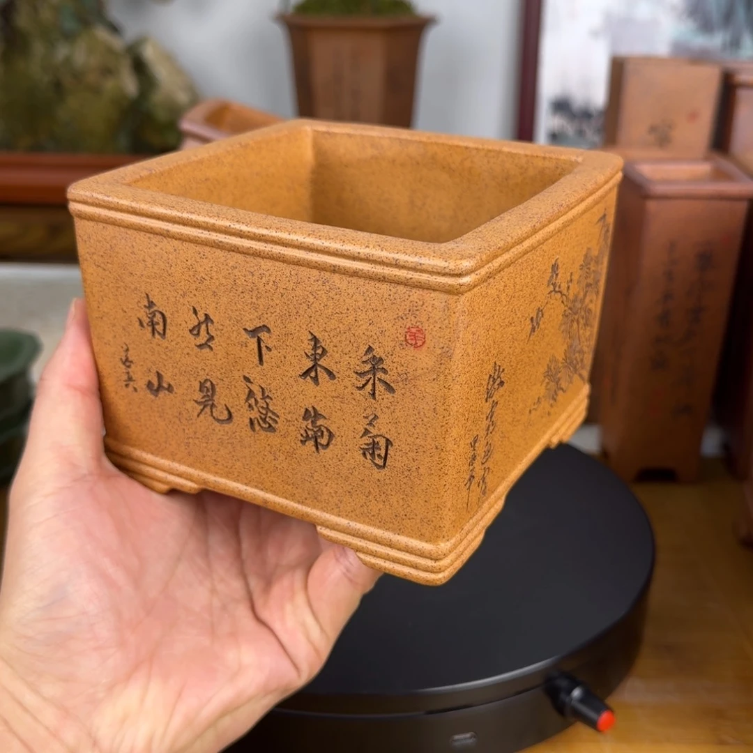 紫砂花盆莫*紫砂花盆