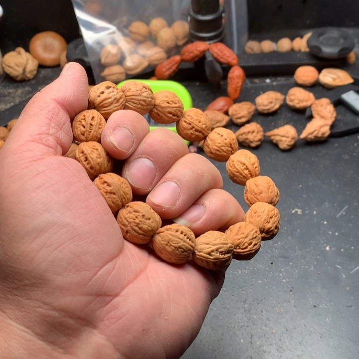 桃核吊坠秋**人野生精品小核桃散籽