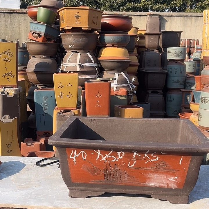 紫砂紫砂花盆盆栽