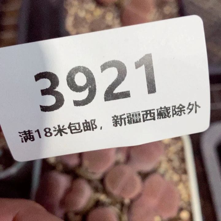 三***次3921。