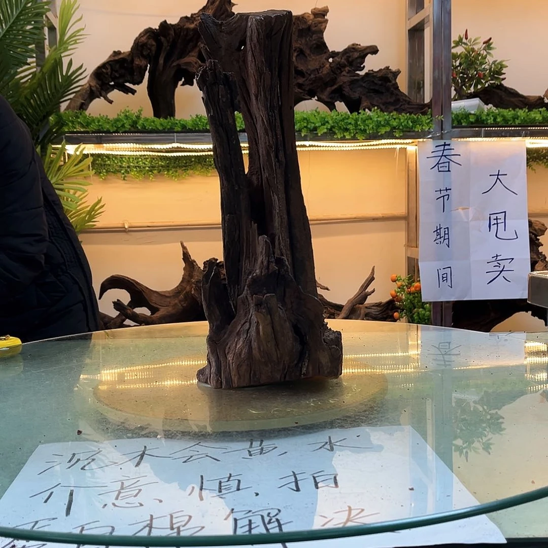 柚木沉木鱼缸造景