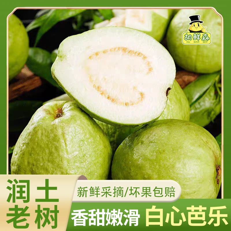 【胡鲜森】广西白心芭乐番石榴3斤/4.5斤 单果150g起 礼遇酸梅粉