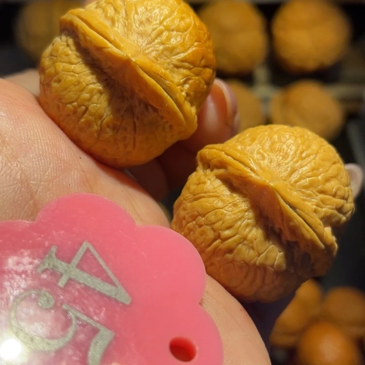 七彩龙珠核桃尺寸33