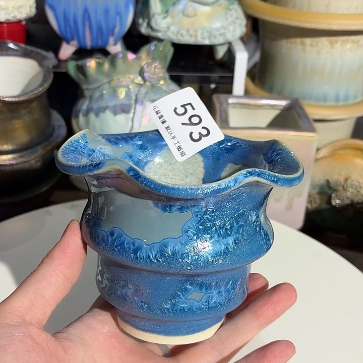 花盆花盆花盆花盆