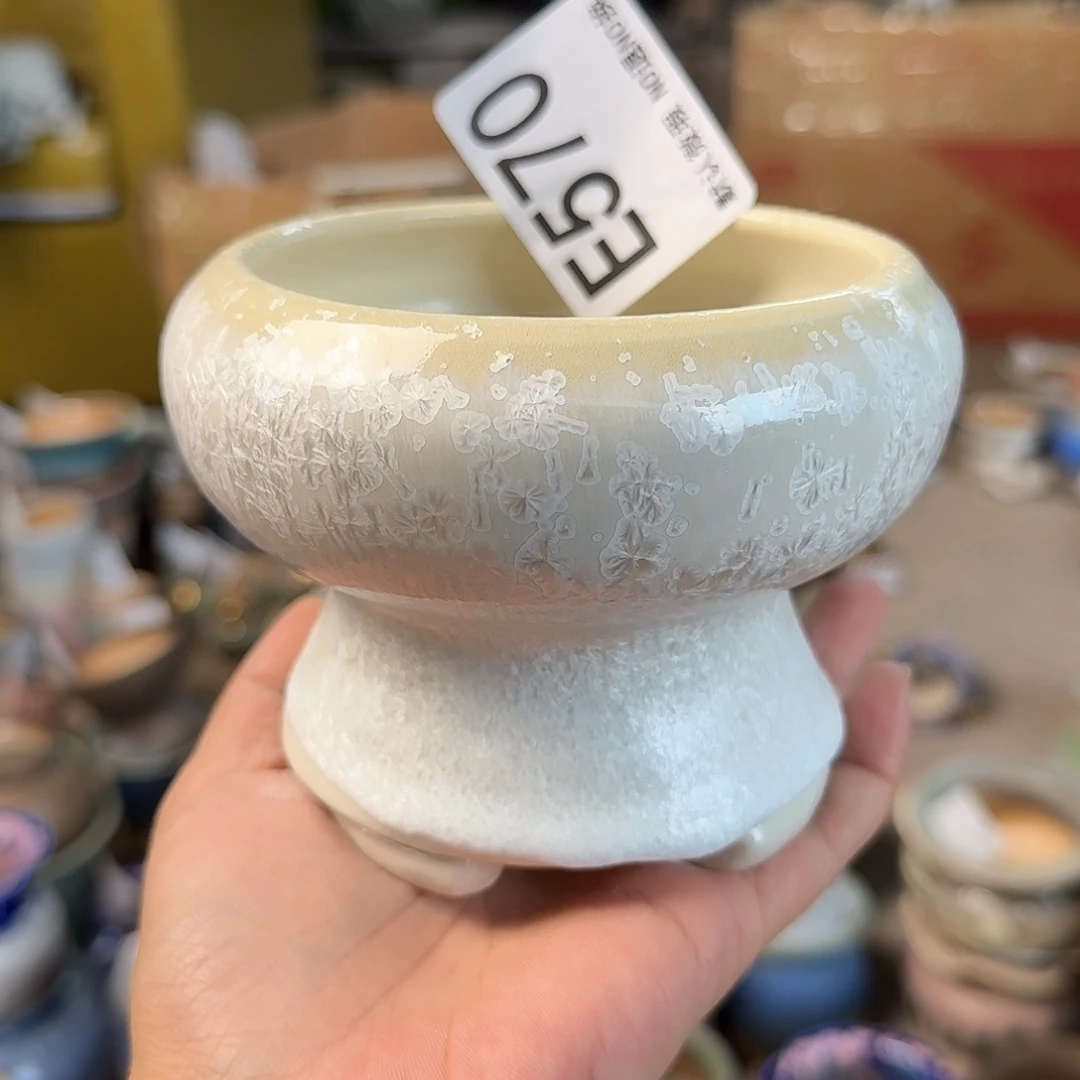 重庆小燕子欢迎大家570