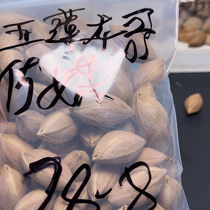 五***媒手串/手链橄榄核111