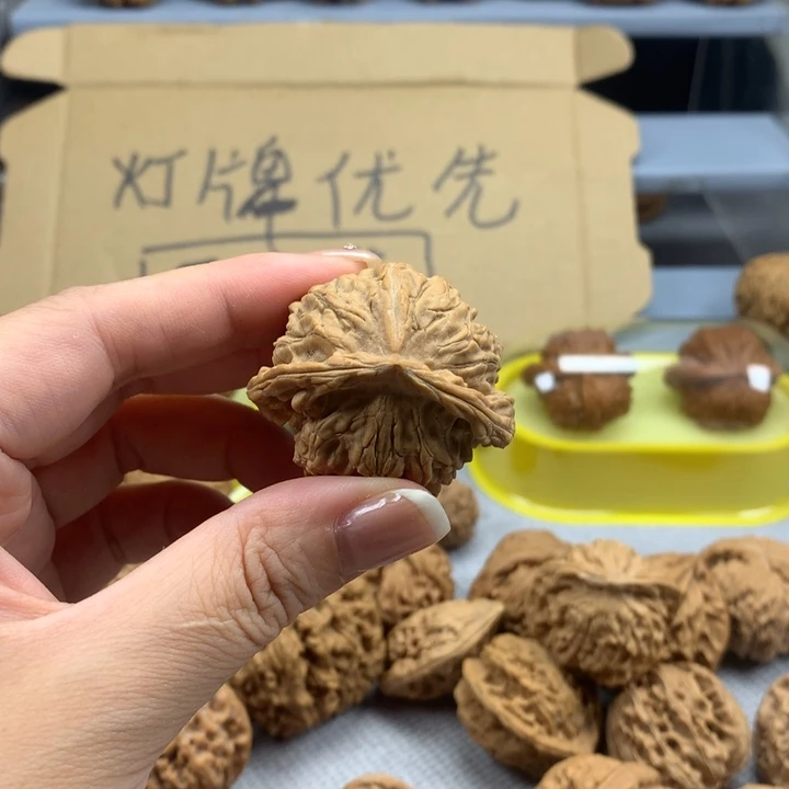 挪***林文玩核桃把件异形单只