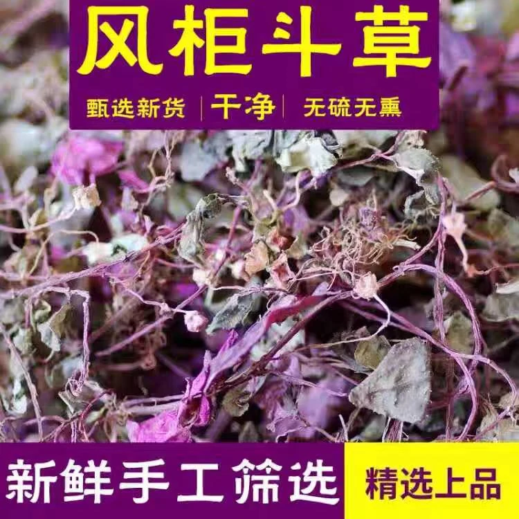 深山老林风柜斗草新货红色风鼓草干品水洗风骨草风谷草煮水喝