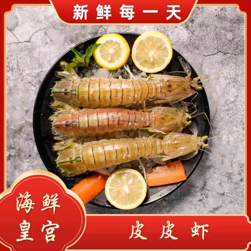 【海鲜皇宫】渤海湾本地皮皮虾 2-6斤 保鲜不保活