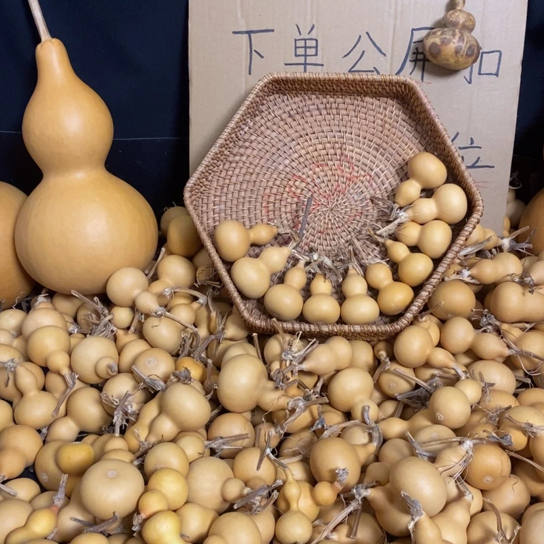 福满人间的专属闪拍