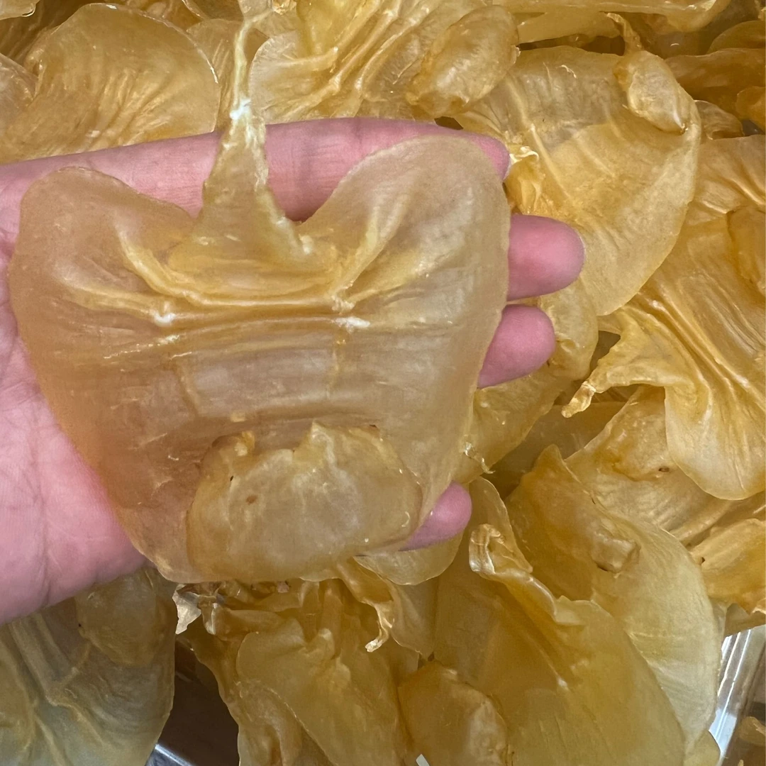 培辉堂33 赤嘴公 花胶