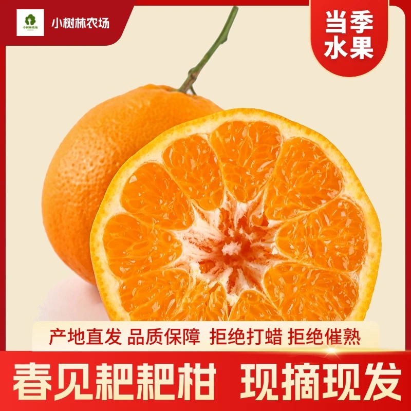 正宗四川春见耙耙柑核心原产地种植园现摘现发桔子橘子新鲜水果5斤 箱装耙耙柑