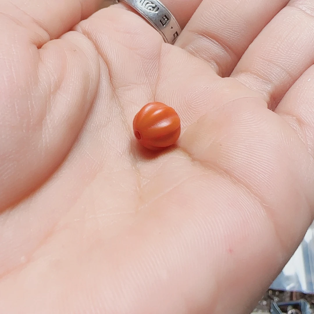 *****牌…………………………………………