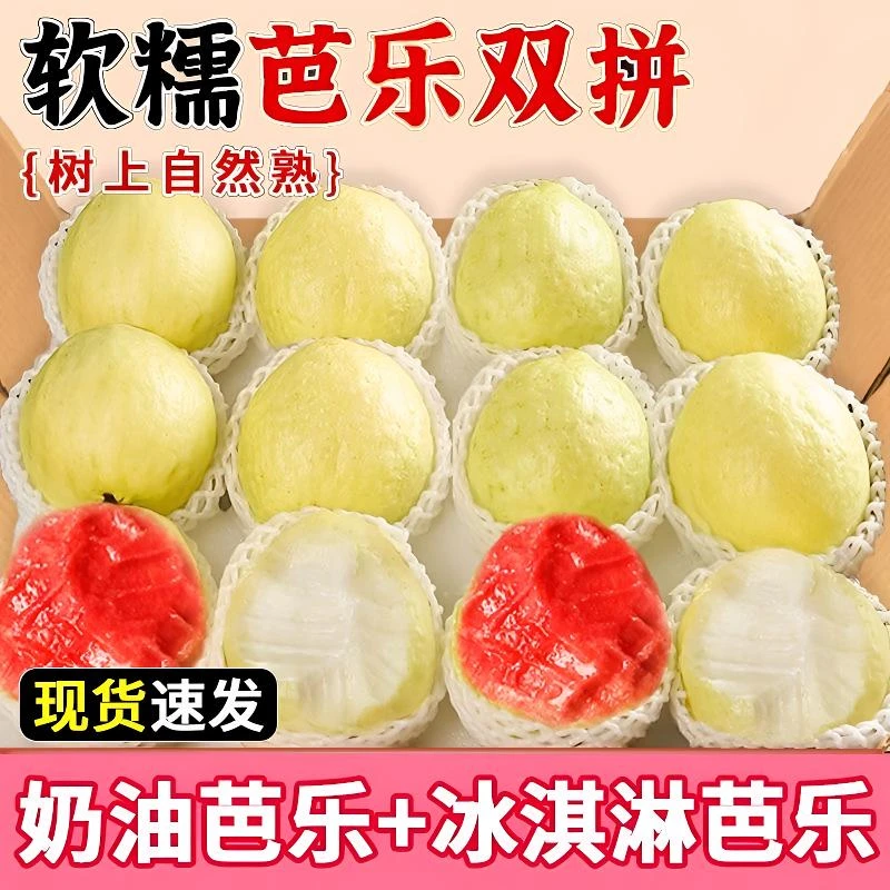 【顺丰包邮】福建漳州芭乐拼装混装红心白心芭乐奶油（先吃黄色软了）