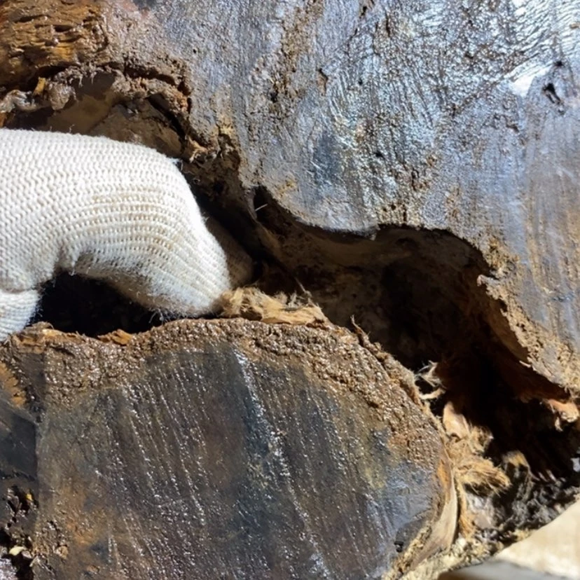 【闪购商品】把件贡木那**季私人定制