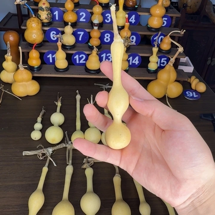 青***0精品八宝杆子周正