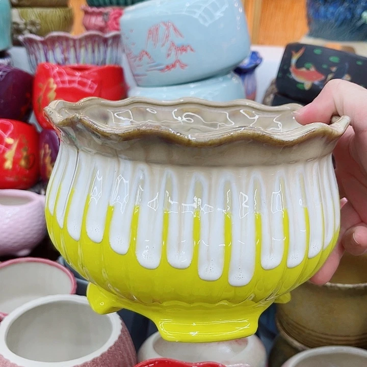 多肉植物陶瓷花盆