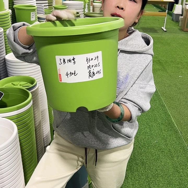 特价5号四季口29高24.5白色5只无托