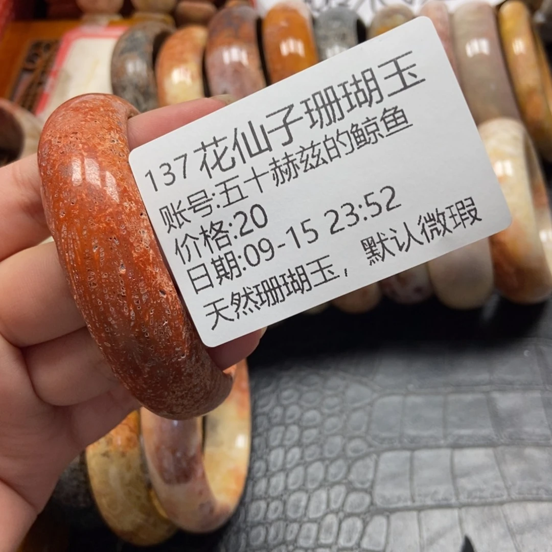 五***鱼未镶嵌硅化珊瑚（珊瑚玉）珠宝半成品137