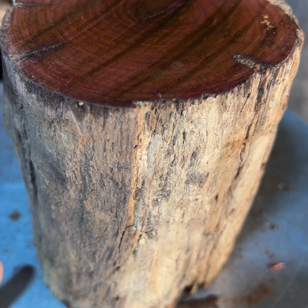 大果紫檀（缅甸花梨）