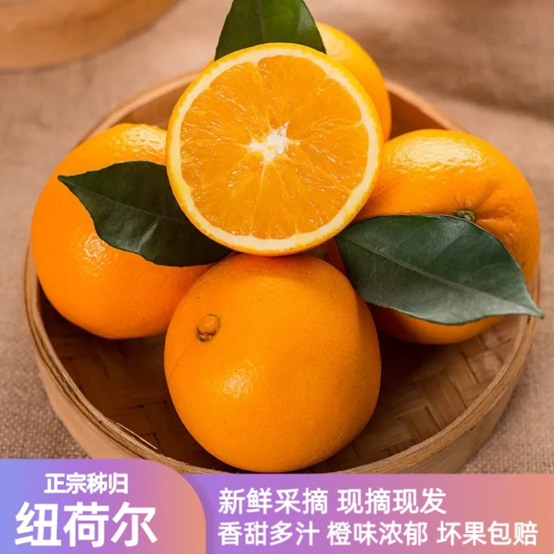 湖北纽荷尔脐橙秭归橙子现摘甜橙新鲜水果