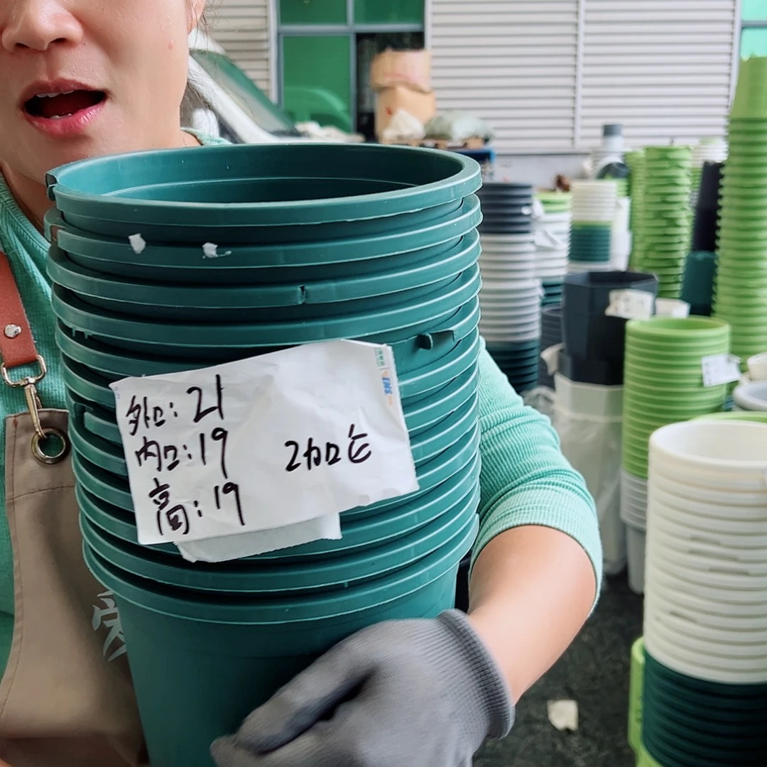 瑕疵2加仑墨绿色10个无托