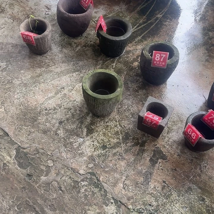 老物件老石器小石盆