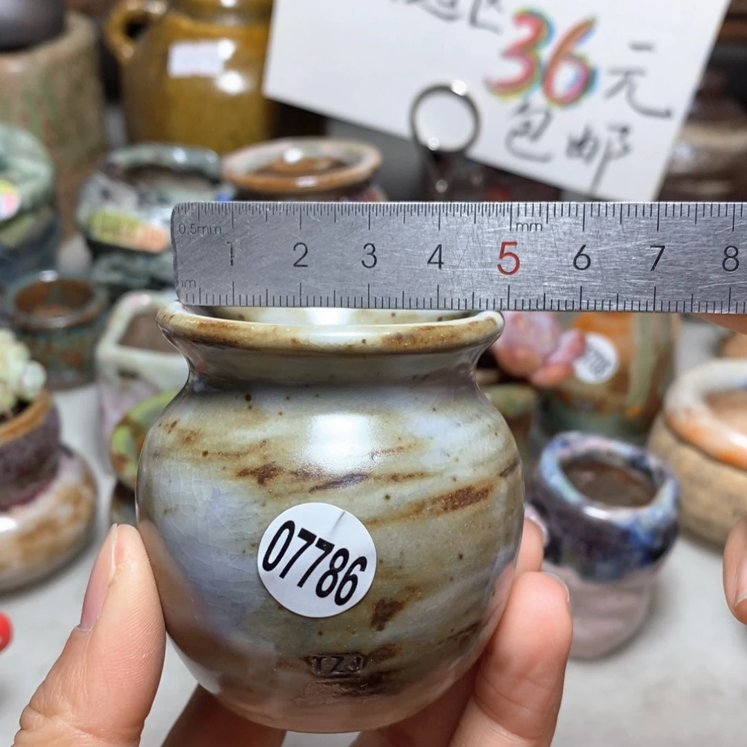 花盆拍5送一个小礼物